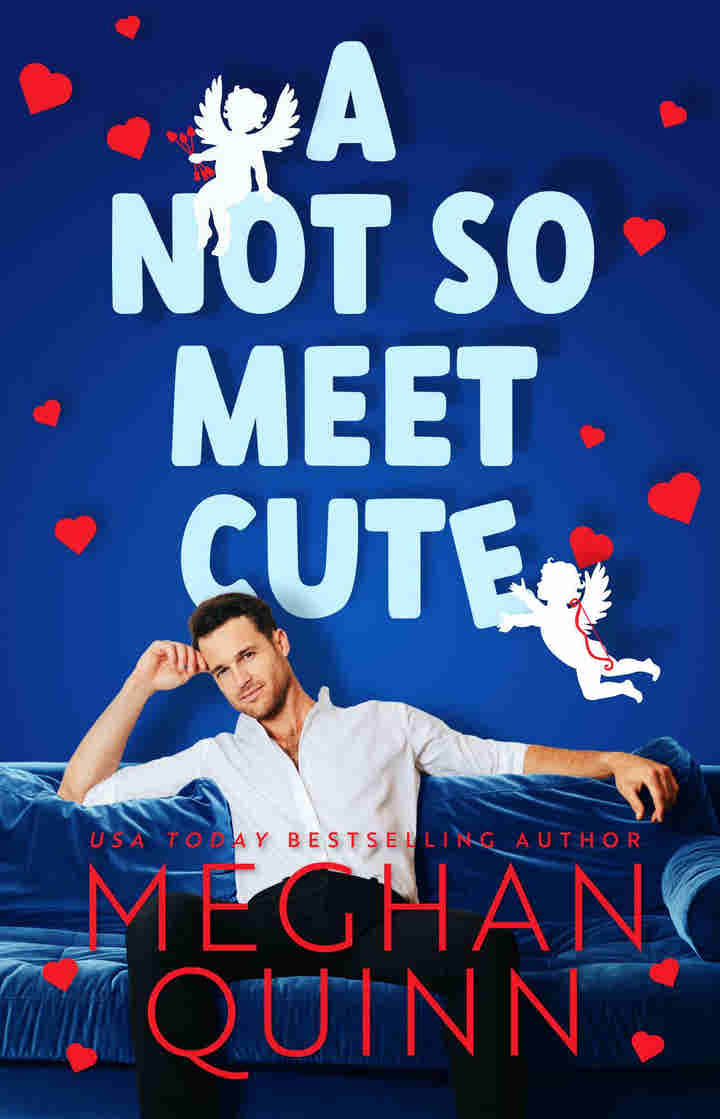 A Not So Meet Cute by Meghan Quinn
