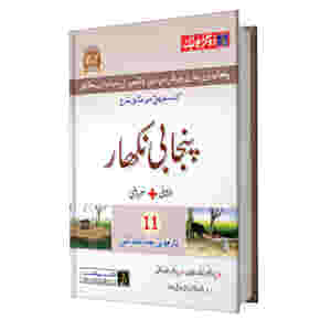 FA/Intermediate Punjabi Part 1