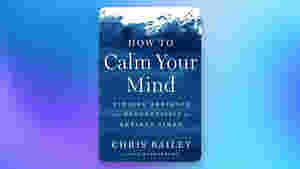 How to Calm Your Mind: Finding Presence and Productivity in Anxious Times by Chris Bailey