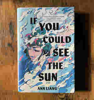 If You Could See the Sun by Ann Liang